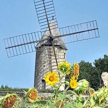 Artilou Libourne -st Emilion