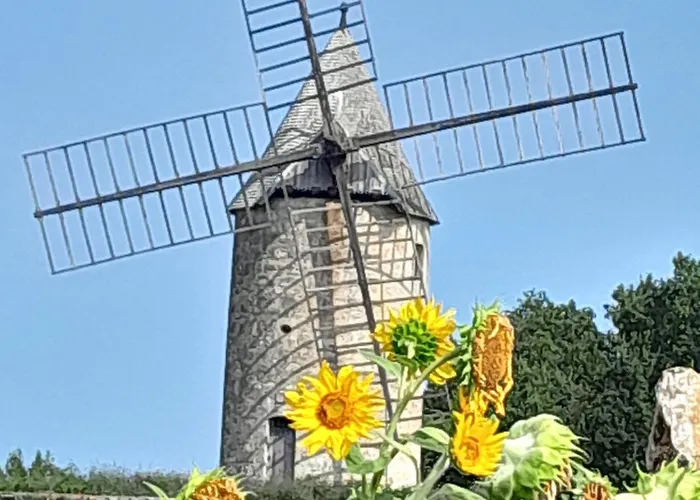Artilou Libourne -st Emilion
